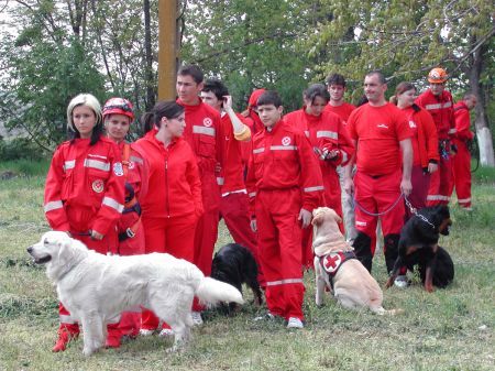 Câinii de salvare se întrec la Craiova
