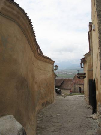 Cetatea care apără trandafirii