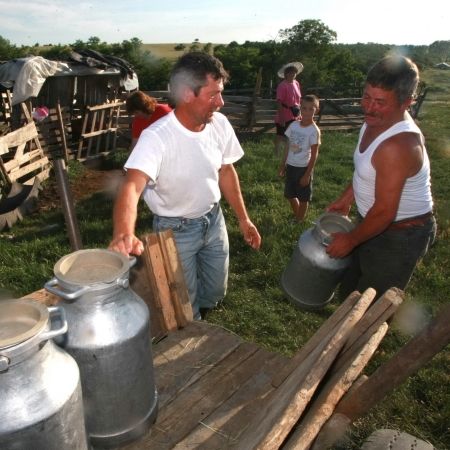 Chef cu lapte ca la mama acasă
