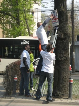 Copacii bucureşteni, eliberaţi de reclame ilegale