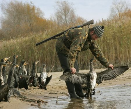 Domeniul de vânătoare al lui Ţiriac, scos la licitaţie