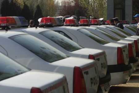 Guvernul atacă în instanţă „Afacerea Logan”