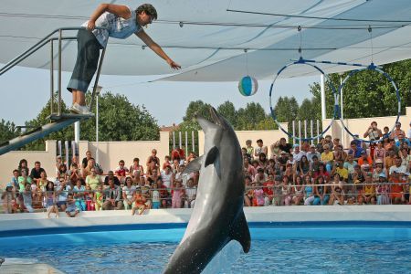 A murit Mark, vedeta Delfinariului