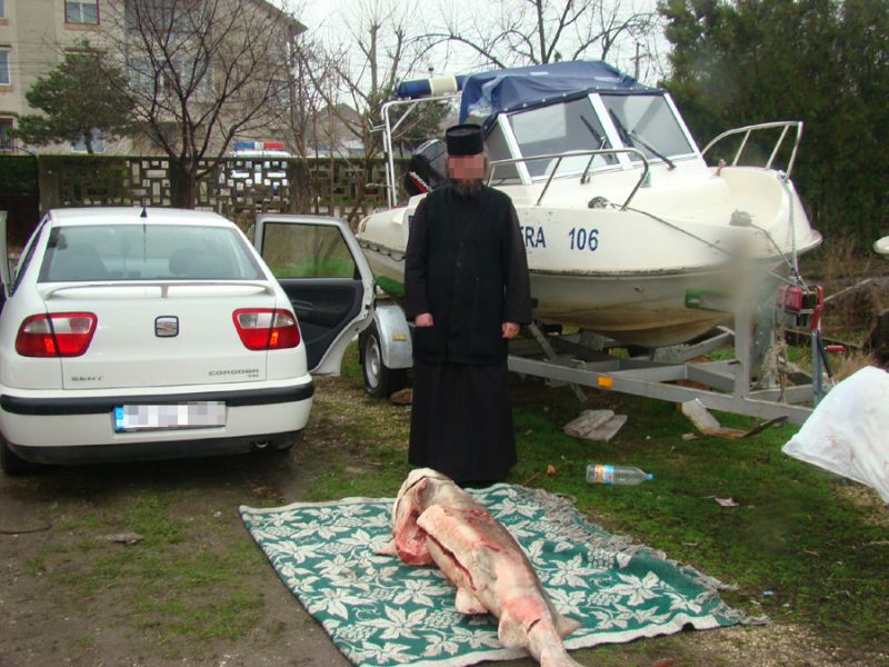 Morun de 90 de kg, prins ilegal de un fals călugăr