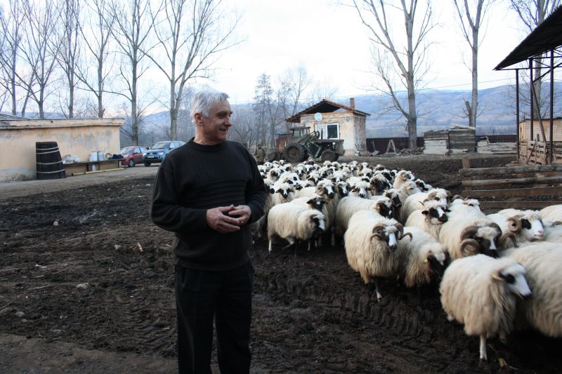 Doctorul cu 2000 de pacienţi şi 350 de oi