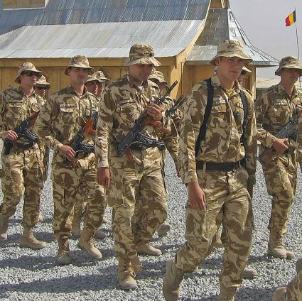 Oprea: armata nu trebuie târâtă în noroiul politic