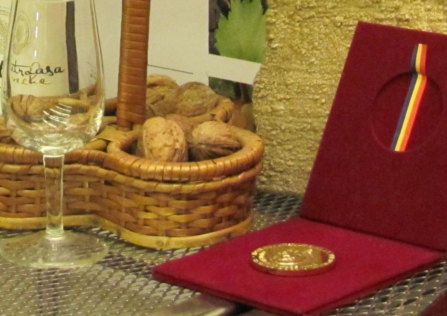 Sărbătoarea vinului, la Timişoara