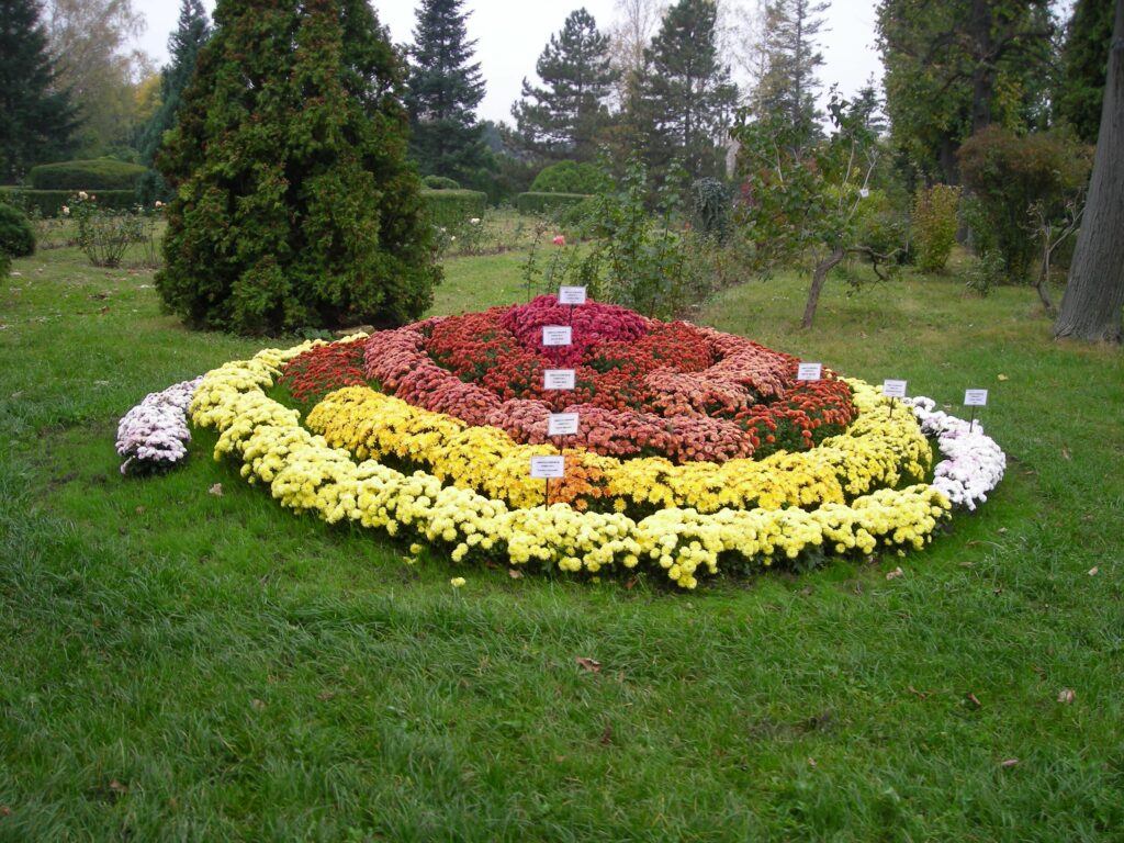 Spațiu verde amenajat de liceeni