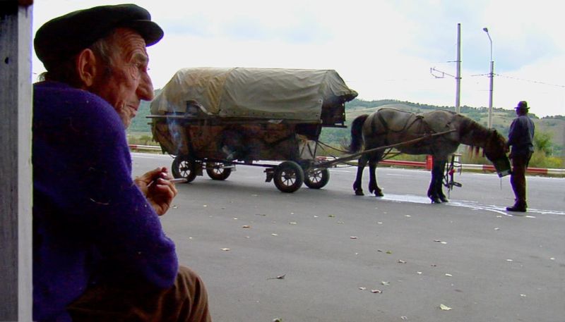 “Căutare” se alege cu un premiu la Cannes