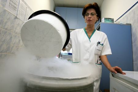 Terapia cu celule stem ar putea afecta vasele de sânge şi măduva