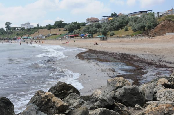 Peşti morţi pe plajele de la mare