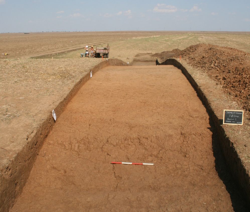 Cetatea Corneşti, cercetată de arheologi străini