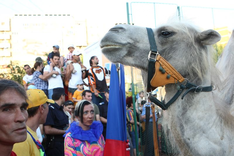 Circ "la preţ de criză"