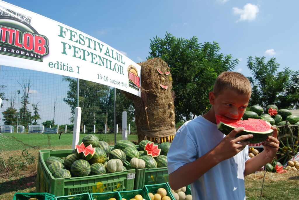Concerte, teatru şi Festivalul Lubeniţei