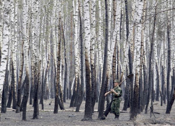 Factura incendiilor din Rusia: 15 miliarde de dolari