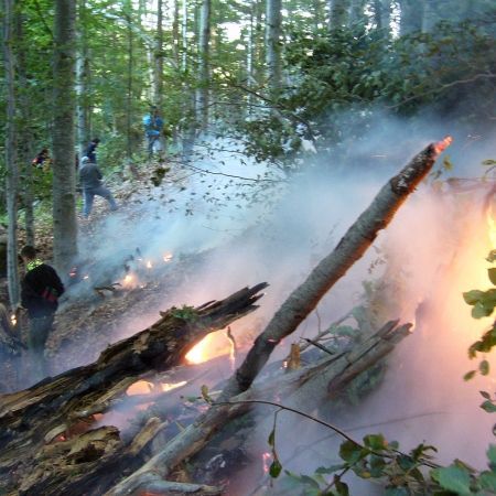 Noi incendii provocate de căldură în Portugalia