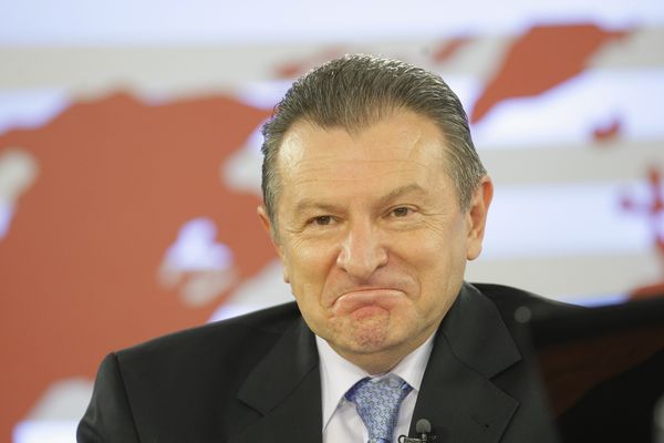Vişan: Berceanu vrea să fie preşedinte pe viaţă şi post-mortem să-şi lase moştenitor