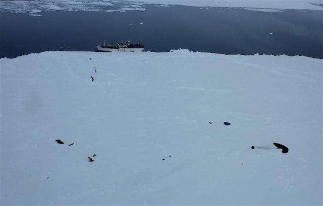 Antarctica, în deschiderea Morcheeba