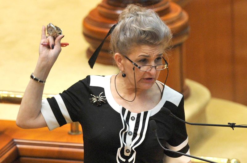 Aura Vasile:"UNPR e coada mafiei portocalii"