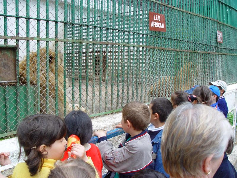 Grădina zoo din Hunedoara, reabilitată