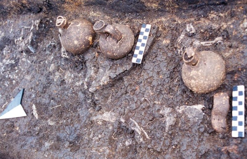 Descoperire spectaculoasă în zona lacului Baikal. Ce a găsit un grădinar în curtea casei