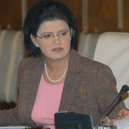 Şase porturi de la Dunăre, în custodia primăriilor