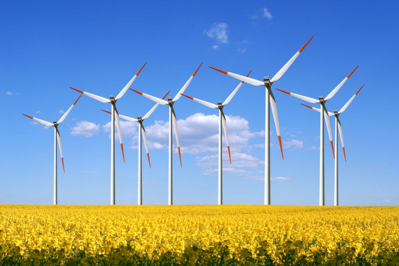 Cât ne costă poluarea şi energia "verde"