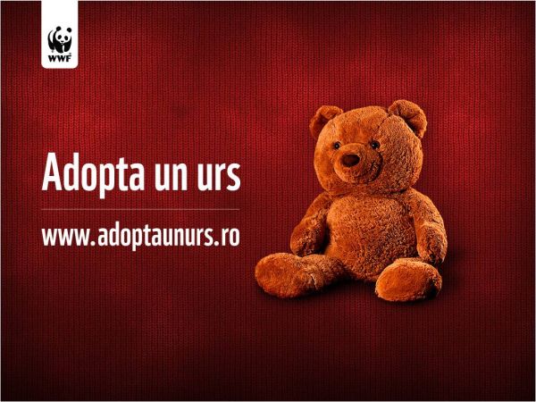 Adoptă un urs să protejezi natura