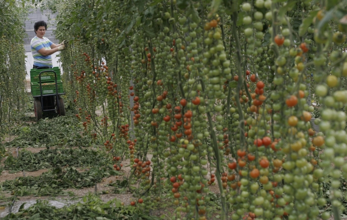 Descinderi la o reţea de trafic de persoane
