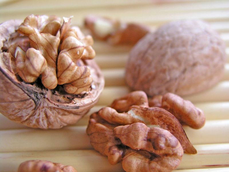 Plantaţie de nuci cu 7.500 â‚¬/ha