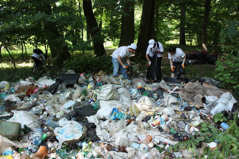 200 de elevi constănţeni devin voluntari de mediu