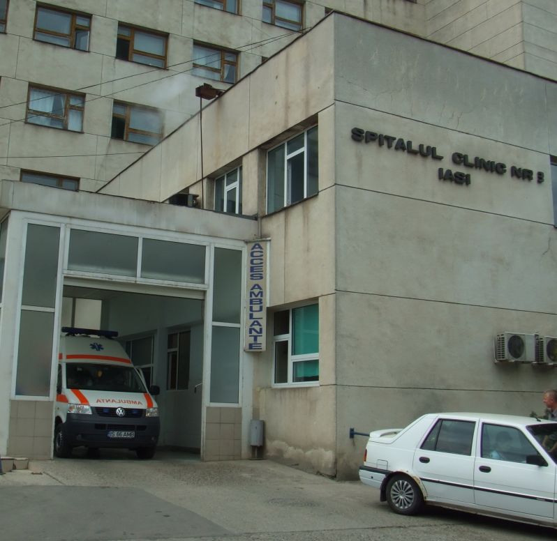 Ieşence lovite de o bucată de zid