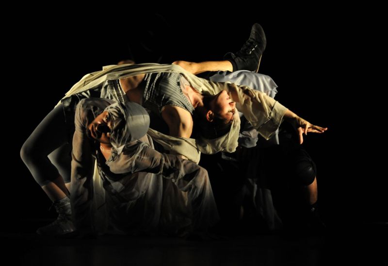 Piruete cu mănuşi de box la Operetă