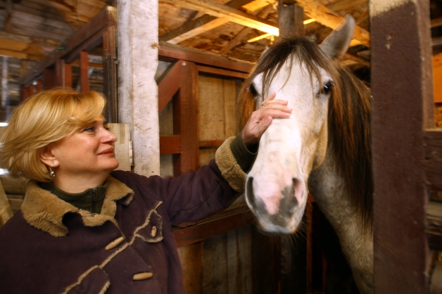 Azilul cailor bătuţi crunt de stăpâni şi de o soartă nedreaptă