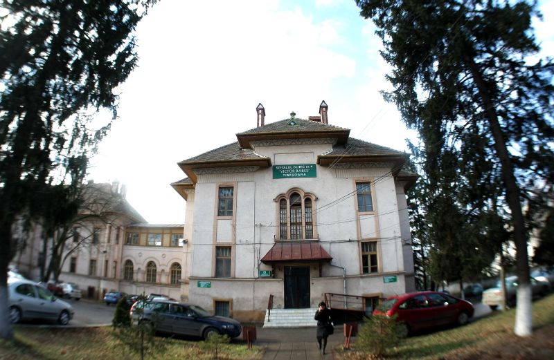 Două cazuri noi de gripă porcină la Timişoara