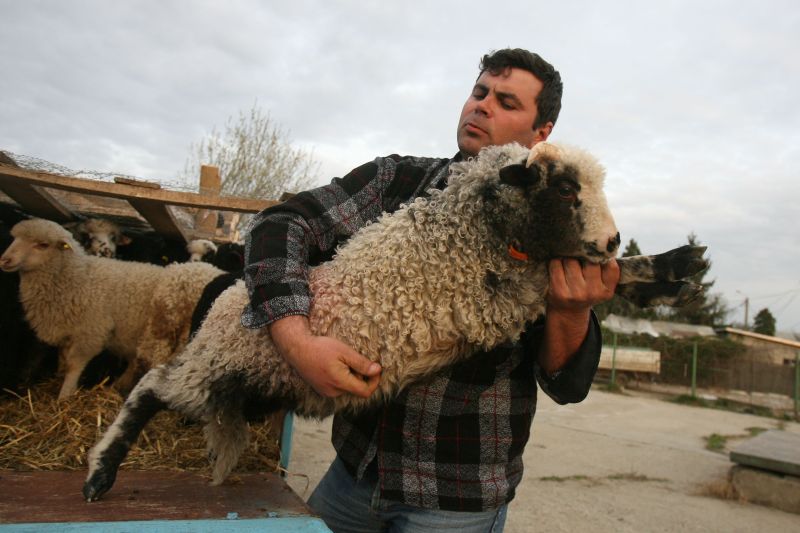 Ne dăm casa pe-o datorie, nu şi animalul din gospodărie