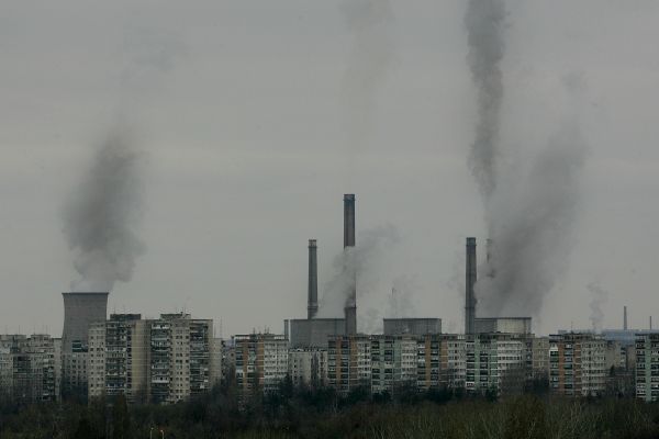 800 de adulţi ucişi de aerul poluat din Bucureşti. Cauzele: panseluţele şi excrementele de câini
