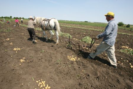 Credite de până la 1,4 milioane lei pentru fermieri, însoțite de garanții