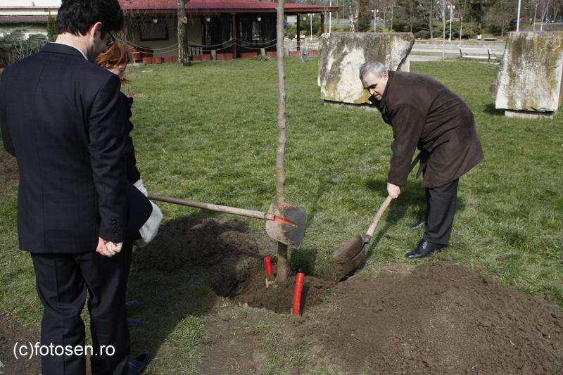 Hoţii au furat plăcuţele din bronz de pe Aleea Consulilor
