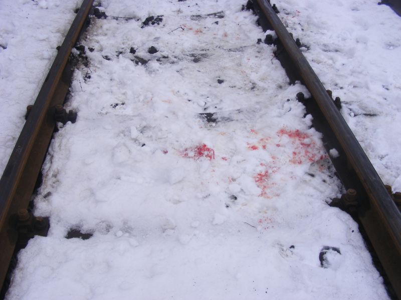 Un tânăr a fost lovit mortal de tramvai, la Timişoara