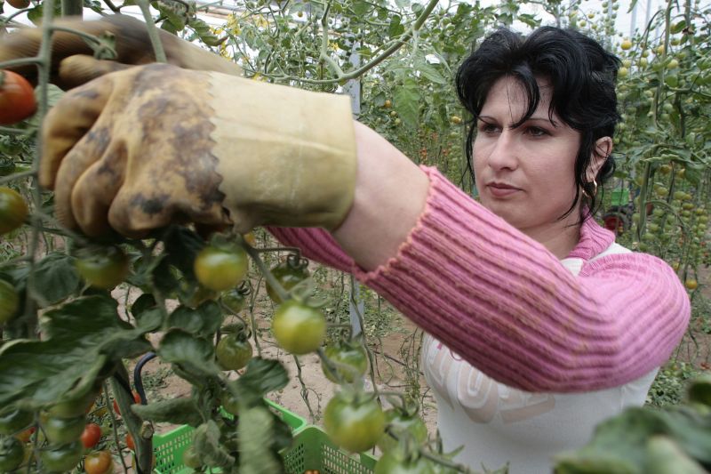 Băncile îşi îndreaptă privirea spre fermieri