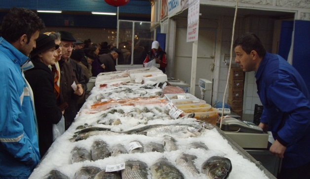 Carasul de Dunăre înoată până la Obor