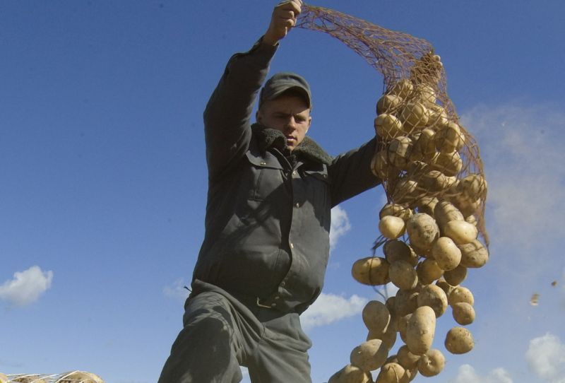Cartoful de 1 euro - cauzele unei scumpiri în serie
