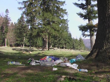 Partidul Verde critică planul de a transforma Parcul Bucegi într-un parc de distracţii