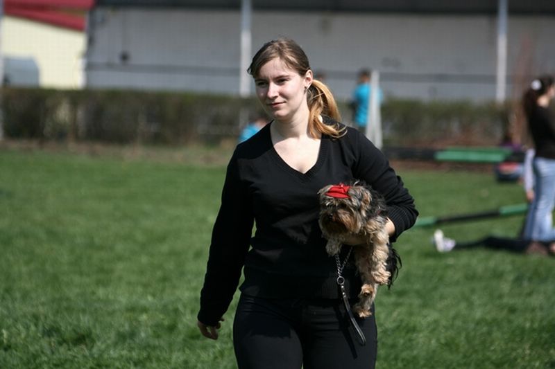 Târg de adopţii pentru căţei