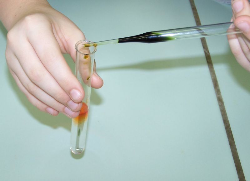 Argint şi bronz la Olimpiada Internaţională de Chimie