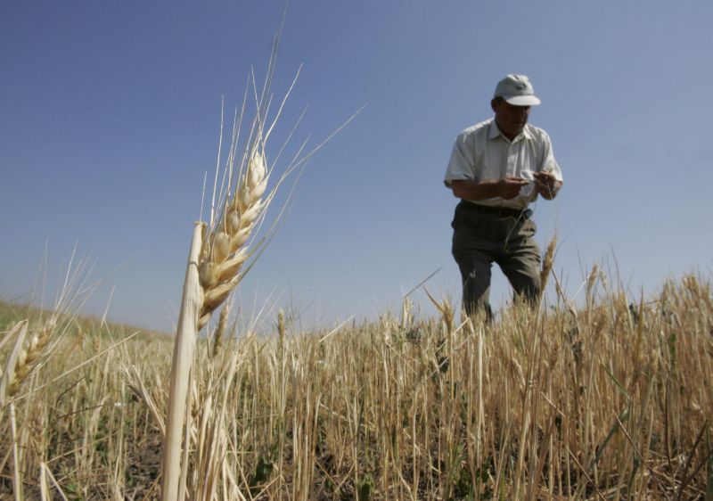 Cu cât s-ar putea reduce evaziunea din agricultură