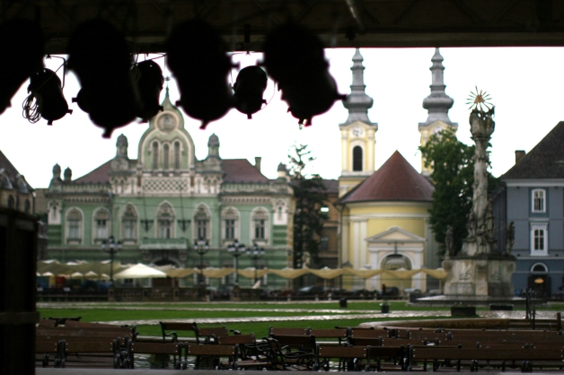 Cultură în aer liber, la Timişoara