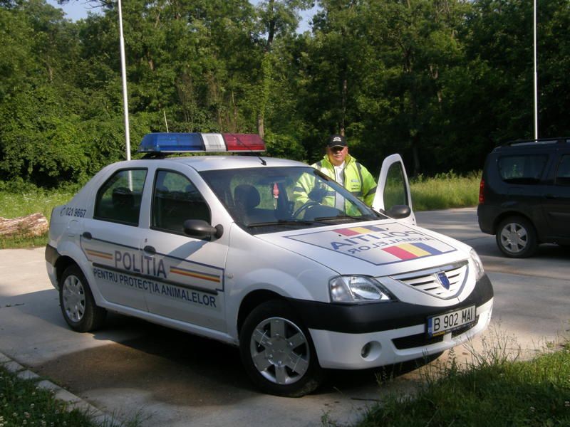 Poliţia Animalelor: "Noi niciodată nu am sărit calul!"