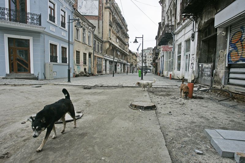 Războiul româno-maidanez naşte un nou partid
